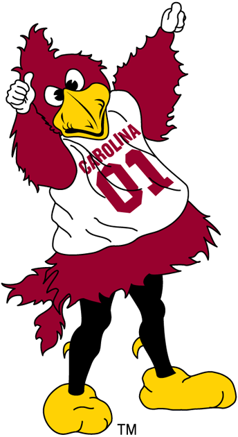 South Carolina Gamecocks 2002-Pres Mascot Logo diy iron on heat transfer